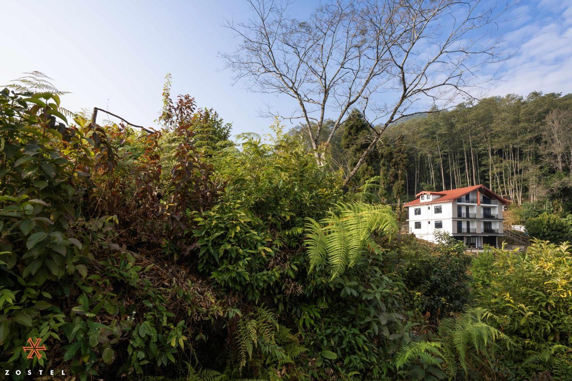 Zostel Rinchenpong Hostel Luaran gambar